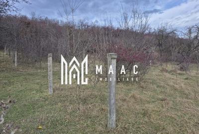 Teren de vanzare | Orlat | Extravilan - 6