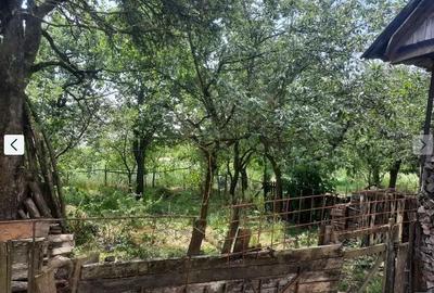 Casă cu 2 camere cu Teren 1300 Mp în Rediu - 2