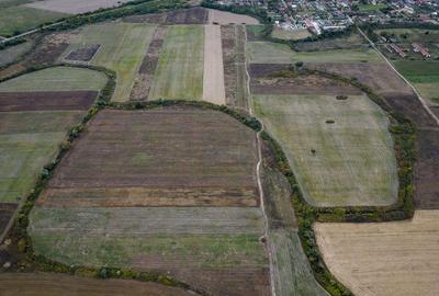 Teren agricol de 34.500mp in Albina, Jude?ul Timi? - 3