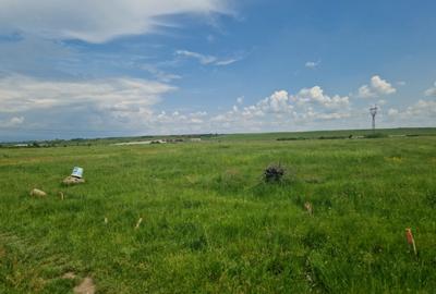 Teren extravilan, str. Ciocarlau - 3