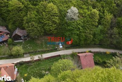 Casă cu 4 camere cu Teren 891 Mp în Ighiu - 3