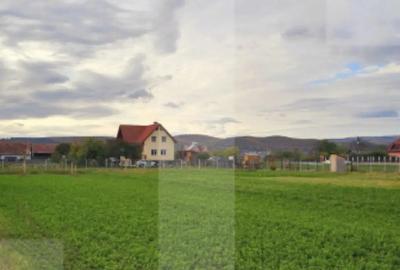 Teren de 1000 mp, în Chilieni