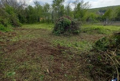 Teren agricol intravilan de 2500 mp, în Hârsa - 1