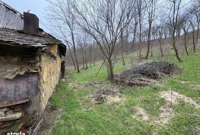 Spațiu comercial, în Luncșoru - 8