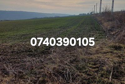 Teren 1950 mp Sorogari - 3