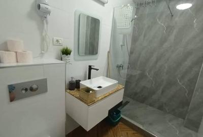 Apartament cu 2 camere semidecomandat, mobilat în Nord - 9
