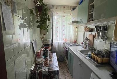 Apartament 2 camere Alexandru- Olimp - 3