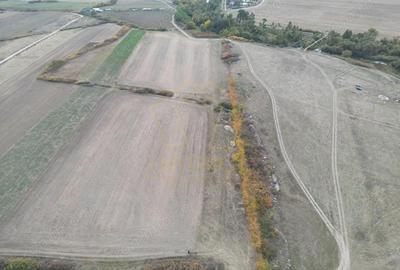 Teren de 11600 mp, în Remetea Mare