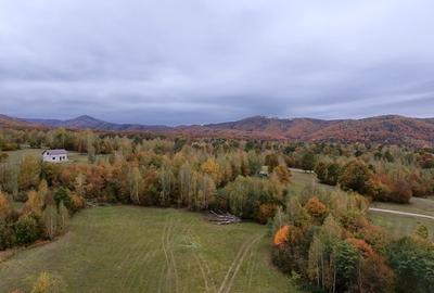 Teren ideal recreere/conectare cu natura/zona Fagaras/achitare in rate - 2