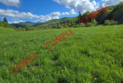 Teren de 6500 mp, în Sita Buzăului - 6