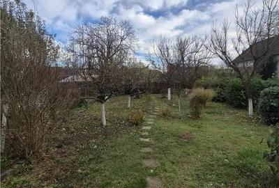 Propietate cu 2 case individuale - ingrijite - pe un teren de 800mp - zona excelenta Timisoara - 6