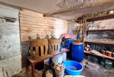Casa individuala de vanzare - Lazaret - 10