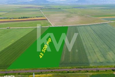 Teren de 43500 mp, în Hărman - 9