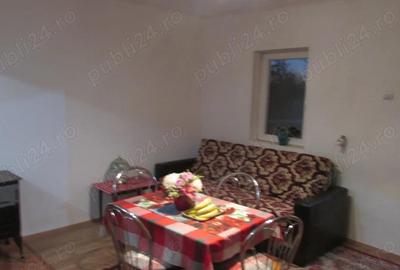 Casa la 36km de Deva amenajata 4 camere teren 4700 mp Campuri Surduc - 9