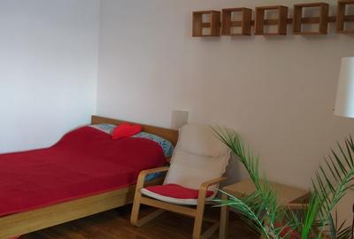 Garsonieră semidecomandată în Iancului - 2