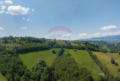 Teren de 15345 mp, în Șimon - 5