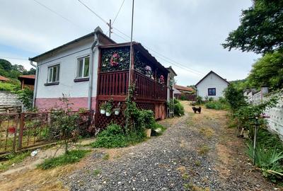 Casă cu farmec rural și confort modern–Sat Nojag, jud. Hunedoara 19 km de Deva