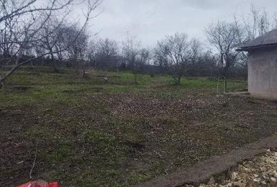 Casă cu 2 camere cu Teren 2500 Mp în Dumbrăveni - 3