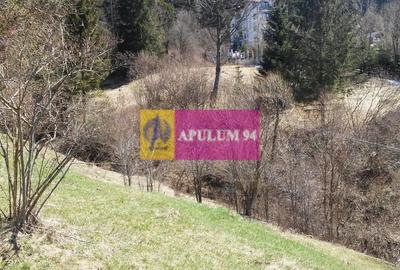 Teren de vânzare în Bușteni - Zona Zamora - 17