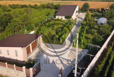 Casa cu piscina de vanzare | 3.300 mp teren | Urlati - Pr... - 13