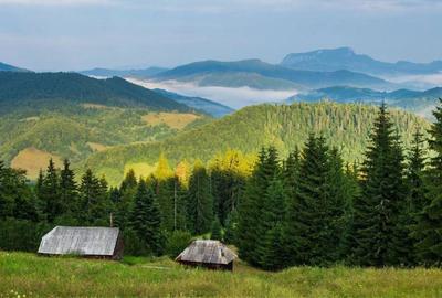 Spațiu comercial, în Central