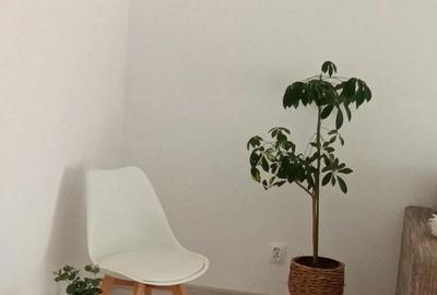 Apartament 2 camere pentru inchiriat - 8