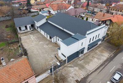 Închiriez cinematograf în Timișoara – proiecții, lansări, conferințe - 2