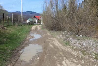 Teren de 22250 mp, în Voroneț - 2