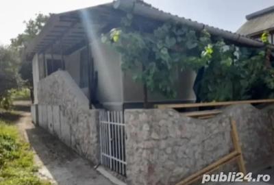 Casa in dealul Viilor Ineu - 6