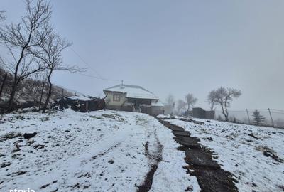 Casă cu 2 camere cu Teren 5135 Mp în Dobreni - 5