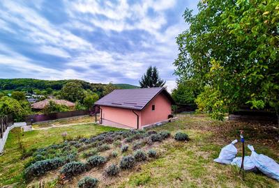 Casa , teren intravilan Valea Mare Stefanesti Arges - 5