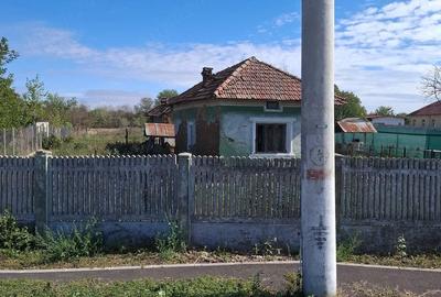 Casă cu Teren 3900 Mp în Scăpău - 5