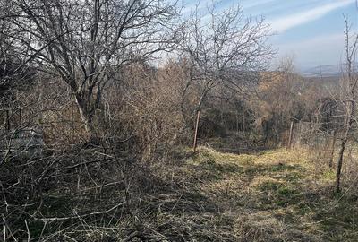 Teren Construcții intravilan de 1746 mp, în Seciu - 8