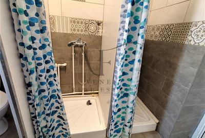 Duplex cu 9 camere cu Canalizare în Ștefan cel Mare - 43