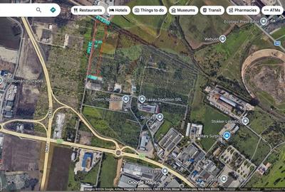 Teren de 19400 mp, în Borș - 1