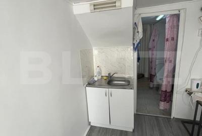 Garsoniera, 20mp, cat friendly, zona Centrala - 4