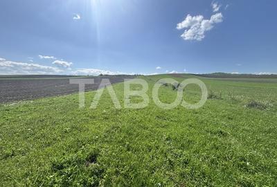 Teren de vanzare extravilan 6500 mp in Hamba judetul Sibiu - 1