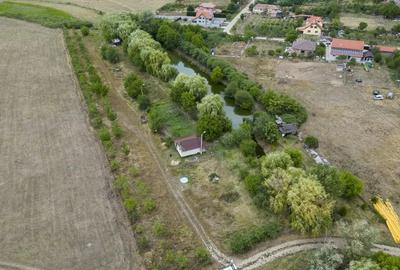 Teren de 7900 mp cu balta de pescuit in Frumu?eni - 8