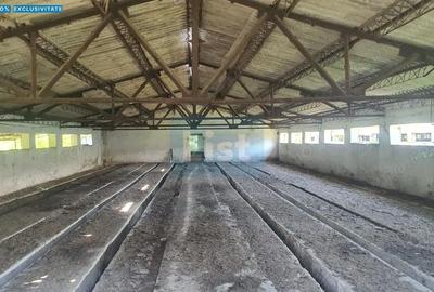 Spațiu comercial, de 1,260 mp, în Balotești - 2