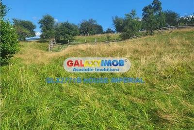 Teren Construcții intravilan de 3300 mp, în Predeluț - 2