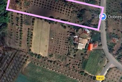 Spațiu comercial, în Central - 3