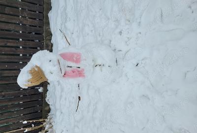 Vand casa cu teren la 65 km de Bucuresti,s-au schimb cu ap 3 camere Bucuresti - 2