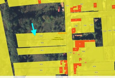 De vanzare teren in Brebu Nou  2877 mp De vanzare teren in Brebu Nou  2877 mp - 9