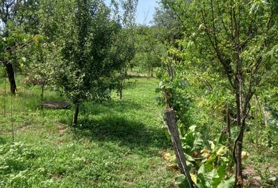 Casă cu 5 camere cu Teren 1600 Mp în Doicești - 6