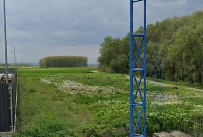 Teren de 2600 mp, în Ion Creangă