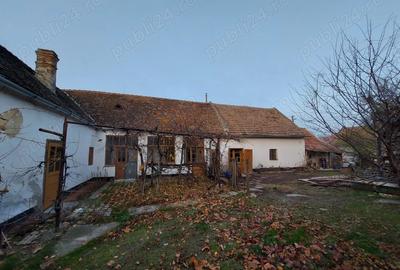 Vand casa 4 camere in Pecica jud. Arad - 2