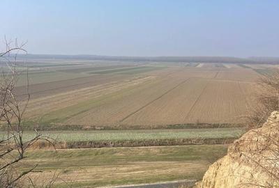 Teren de 3801 mp, în Dăeni - 2