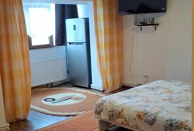 Garsonieră nedecomandată în Orizont - 3