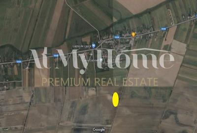 Teren 8647mp, 4.95 euro/mp, DESCHIDERE 34mp, Butimanu, 200m de DJ 101B - 1