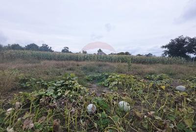 Casă individuală cu 4 camere cu Teren 6110 Mp în Girov - 44